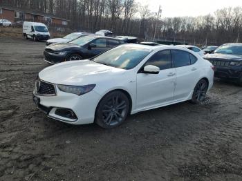 Salvage Acura TLX