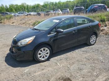  Salvage Kia Rio