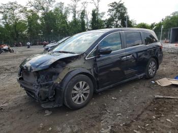  Salvage Honda Odyssey