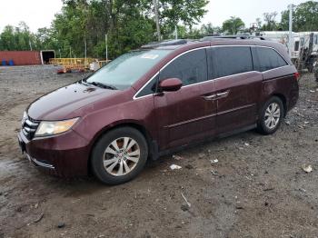  Salvage Honda Odyssey