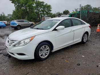  Salvage Hyundai SONATA