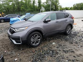  Salvage Honda Crv