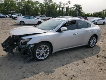  Salvage Nissan Maxima