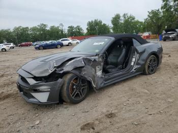  Salvage Ford Mustang