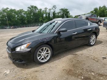  Salvage Nissan Maxima
