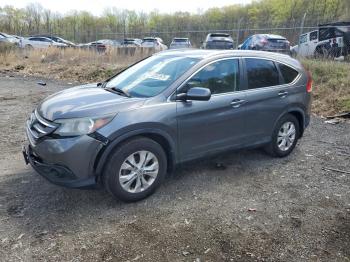  Salvage Honda Crv