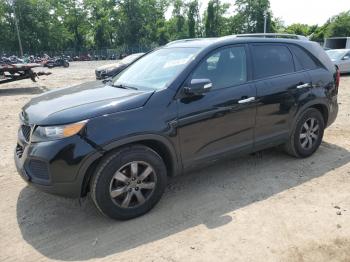  Salvage Kia Sorento