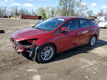  Salvage Ford Focus