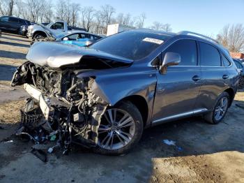  Salvage Lexus RX