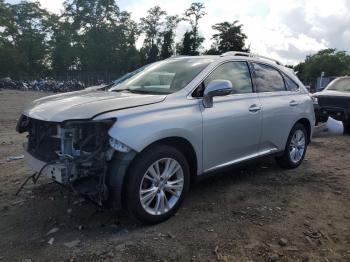  Salvage Lexus RX