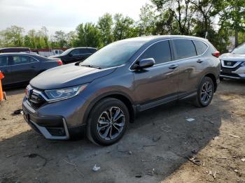  Salvage Honda Crv