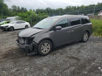  Salvage Honda Odyssey