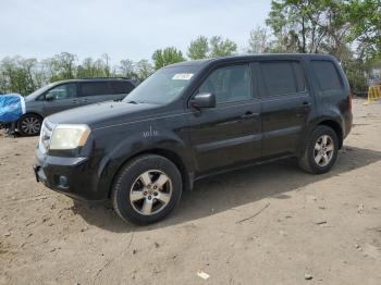  Salvage Honda Pilot