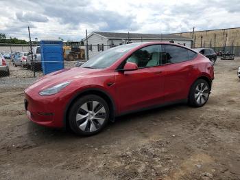  Salvage Tesla Model Y