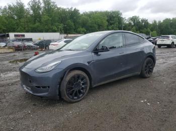  Salvage Tesla Model Y