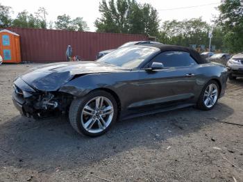  Salvage Ford Mustang