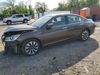  Salvage Honda Accord