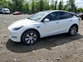  Salvage Tesla Model Y