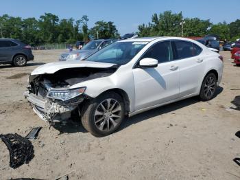  Salvage Acura TLX