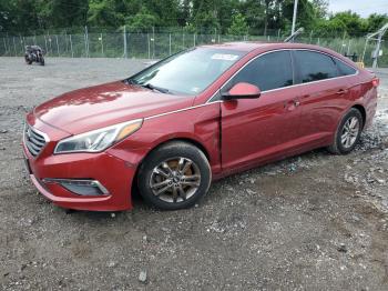  Salvage Hyundai SONATA