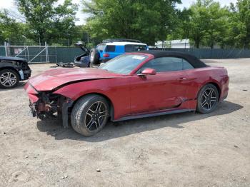  Salvage Ford Mustang