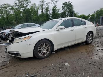  Salvage Acura TL