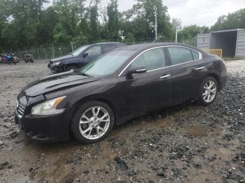  Salvage Nissan Maxima