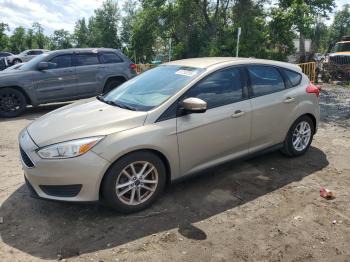  Salvage Ford Focus