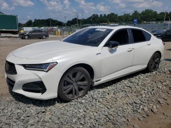  Salvage Acura TLX