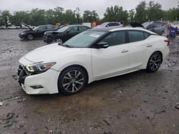 Salvage Nissan Maxima