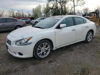  Salvage Nissan Maxima