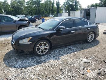  Salvage Nissan Maxima