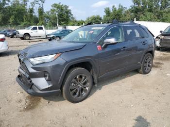  Salvage Toyota RAV4