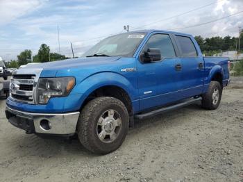  Salvage Ford F-150