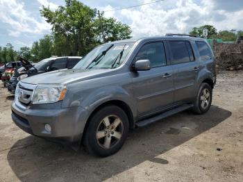  Salvage Honda Pilot