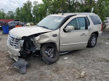  Salvage Cadillac Escalade
