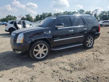  Salvage Cadillac Escalade