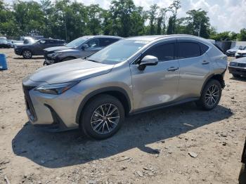  Salvage Lexus NX