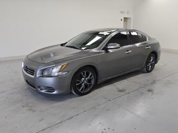  Salvage Nissan Maxima
