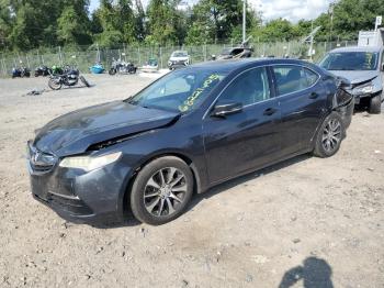  Salvage Acura TLX