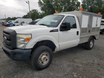  Salvage Ford F-250