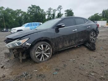  Salvage Nissan Maxima