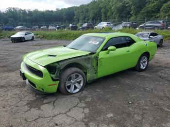  Salvage Dodge Challenger