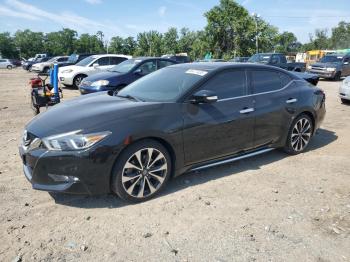  Salvage Nissan Maxima
