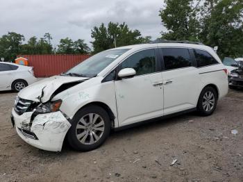  Salvage Honda Odyssey