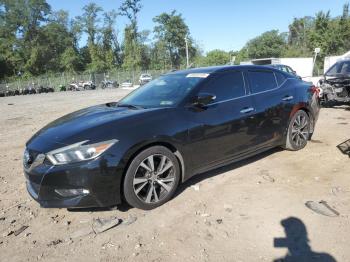  Salvage Nissan Maxima