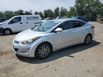  Salvage Hyundai ELANTRA