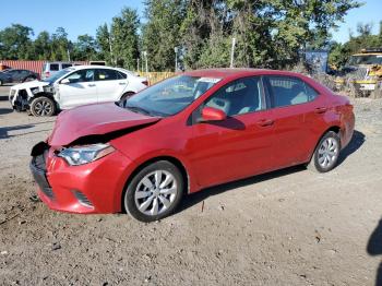  Salvage Toyota Corolla