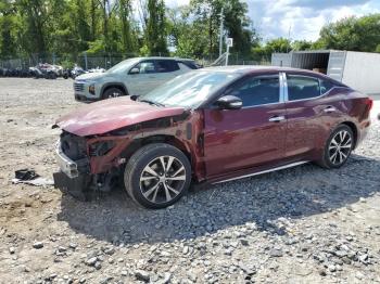  Salvage Nissan Maxima