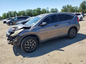 Salvage Honda Crv